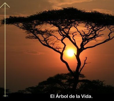 arbol de la vida