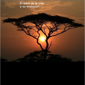 arbol de la identidad