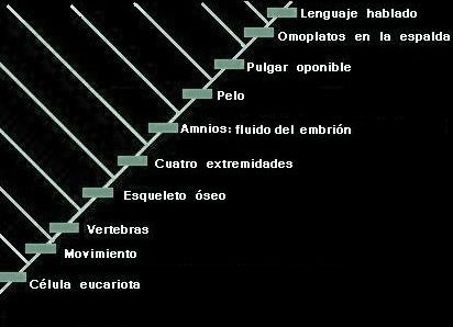 vida y evolucion