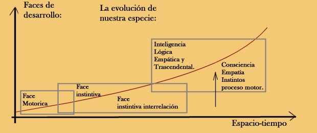 evolucion humana